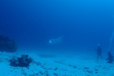 e0154157_23115752.jpg