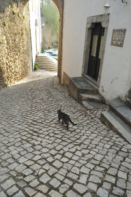 f0201157_16590790.jpg