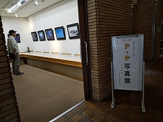 a0331562_1552164.jpg
