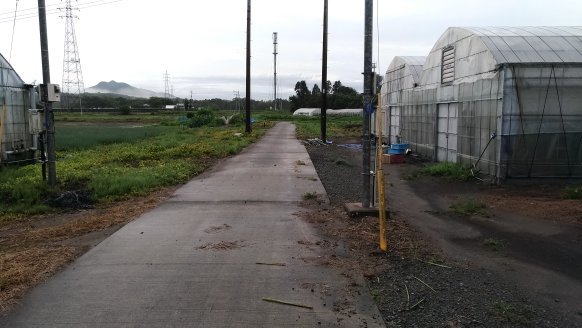 f0186462_02580185.jpg