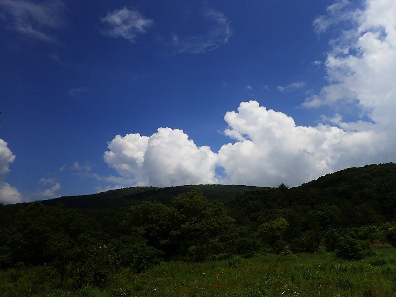 e0091879_00535248.jpg