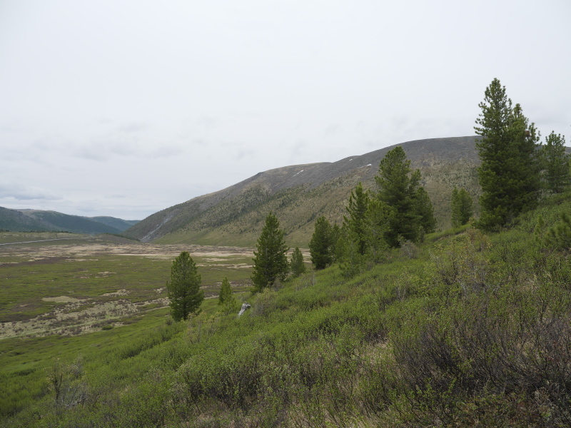 b0368380_23435579.jpg