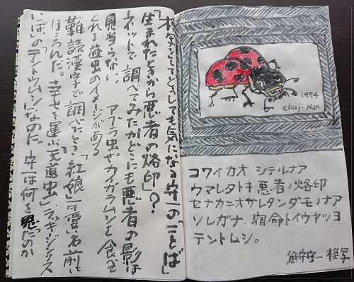 熊谷守一とテントウムシ 絵手紙の小窓