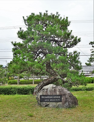 ヴァイオリンの夜　at　田園交響ホール_a0082693_01415455.jpg