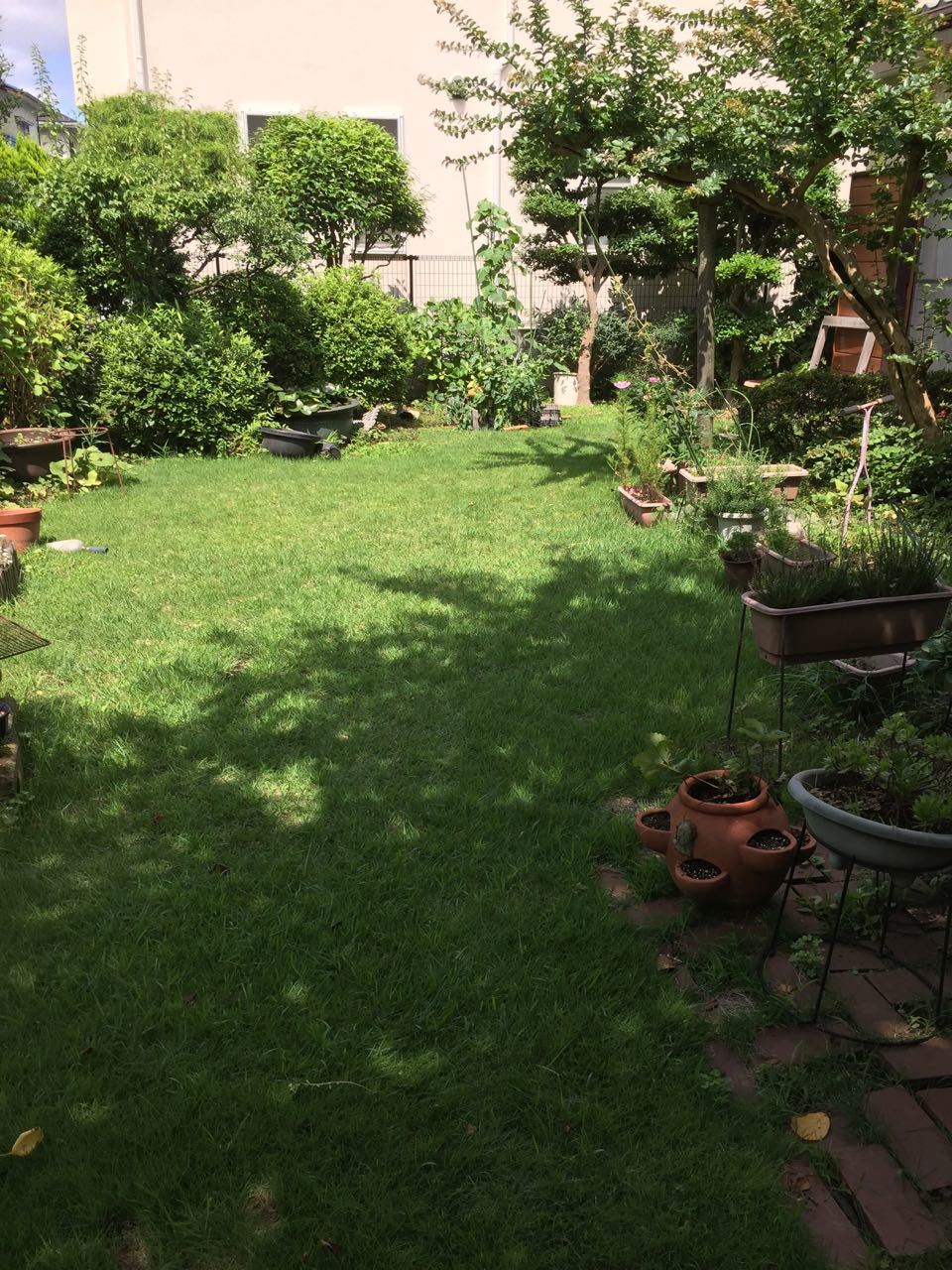 f0130894_21390838.jpg