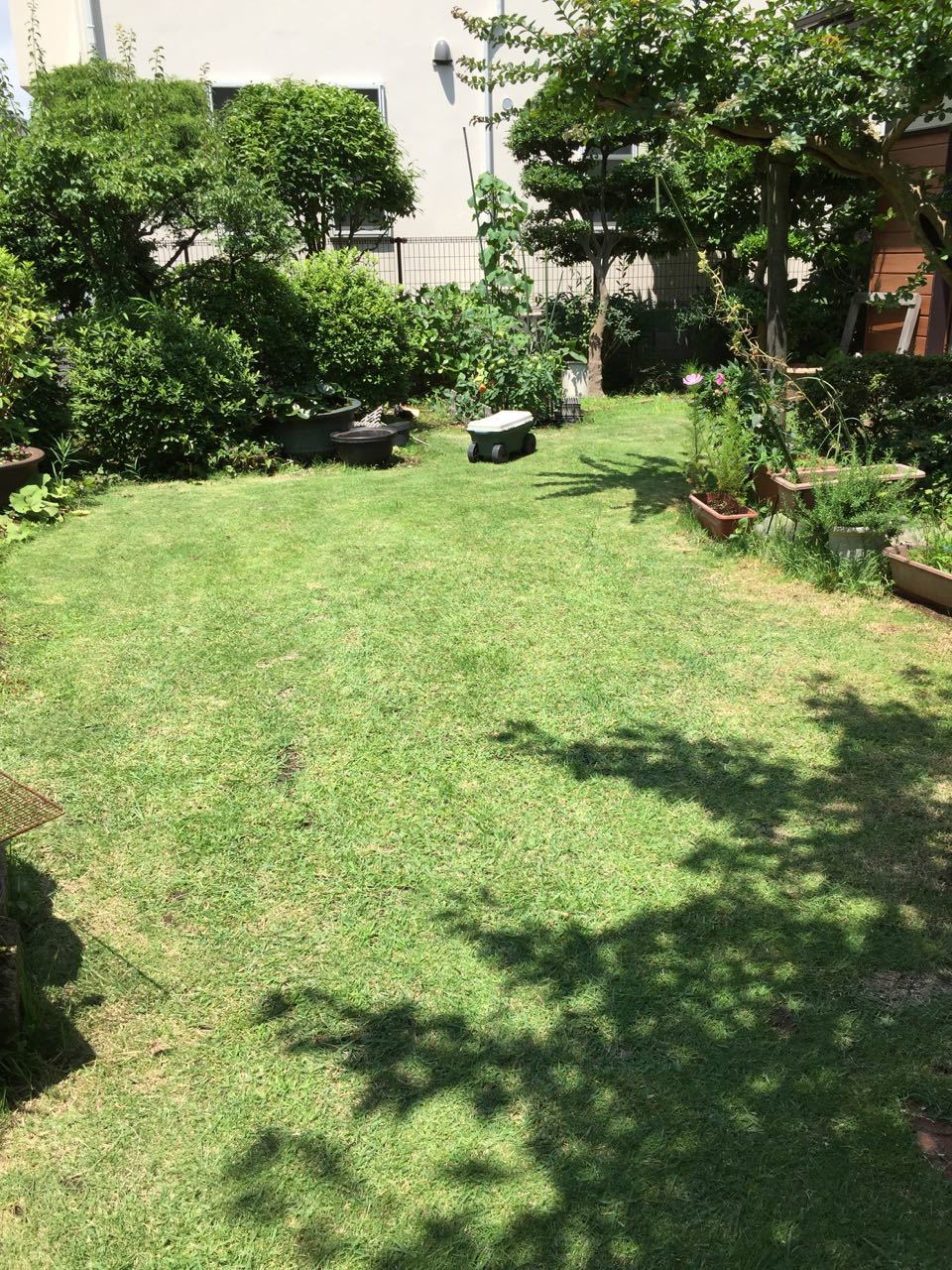 f0130894_21391299.jpg