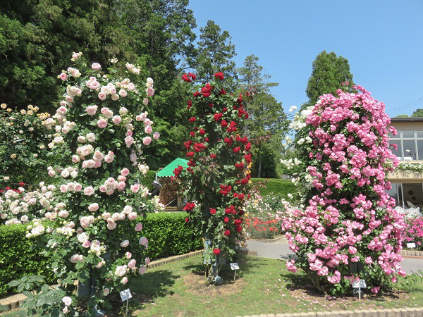 f0346196_10140850.jpg