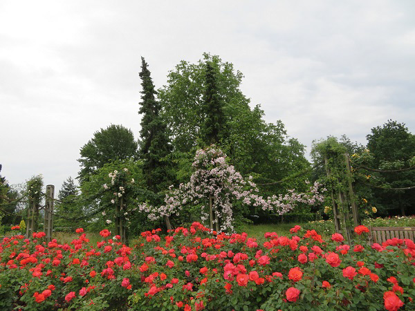 f0346196_10313022.jpg