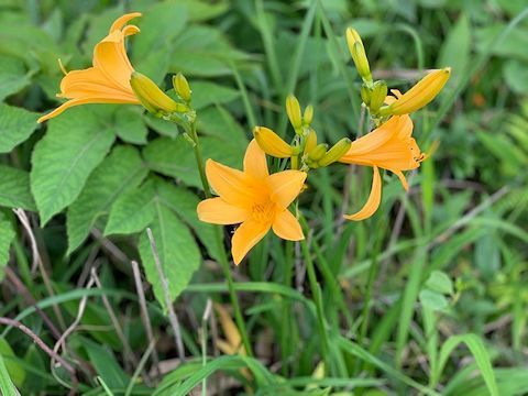 c0090198_19410961.jpg