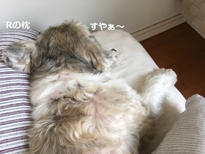f0372998_21533456.jpg