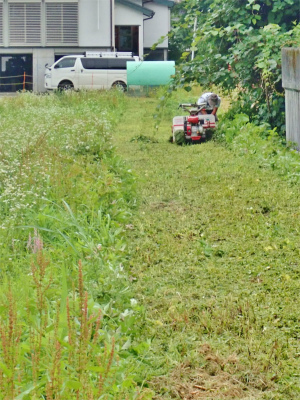 工場跡地の草刈り作業をしました_c0336902_21113286.jpg
