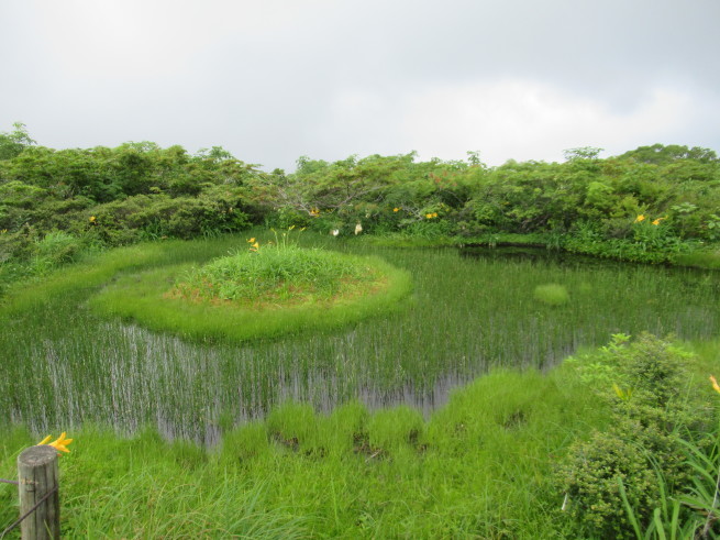 f0297809_21065233.jpg