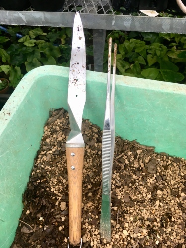 d0179410_22245340.jpeg