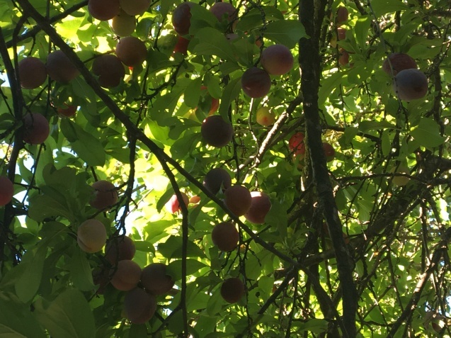 b0366211_02295819.jpeg