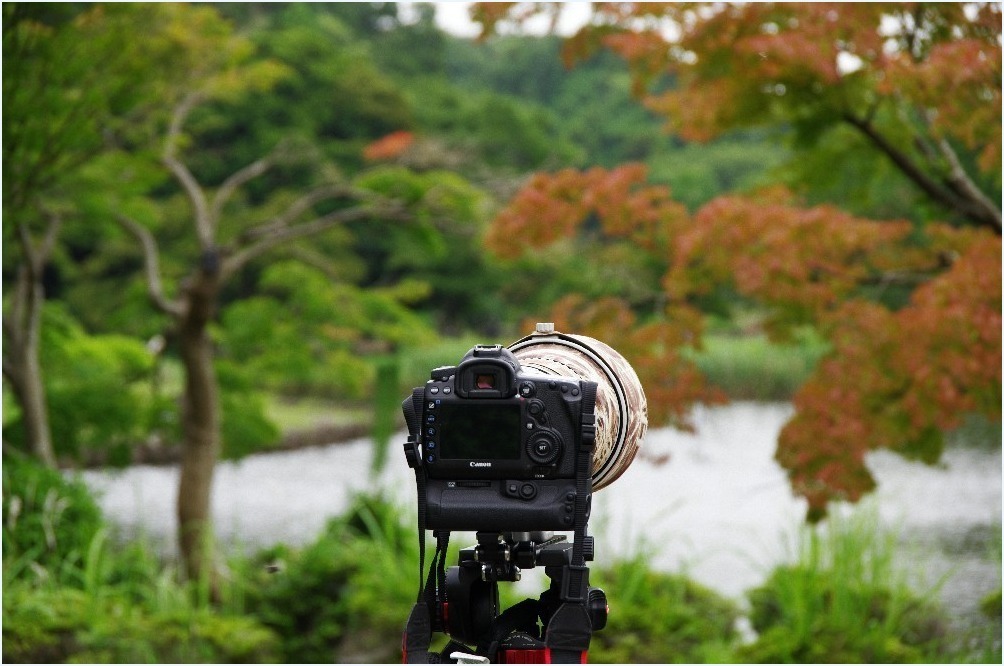 いつもの場所に_c0352813_10315657.jpg