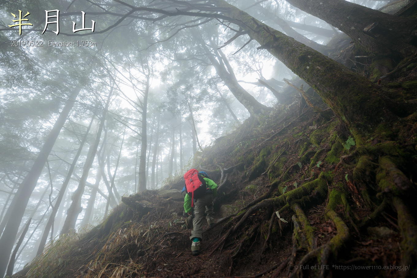 ちびっ子兄弟 霞の山へ「半月山」_c0369219_01172903.jpg