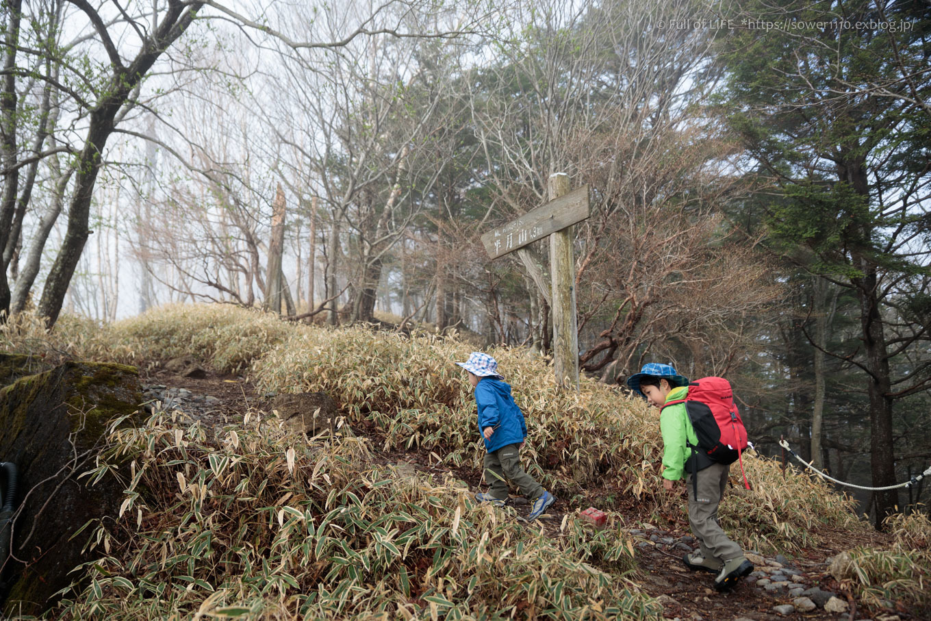 ちびっ子兄弟 霞の山へ「半月山」_c0369219_09554291.jpg