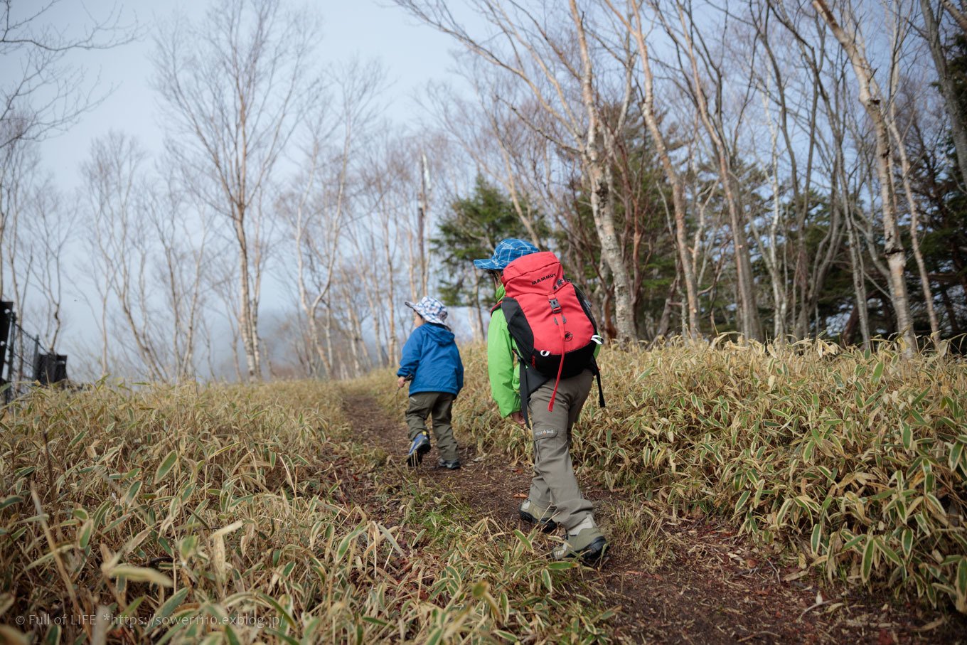 ちびっ子兄弟 霞の山へ「半月山」_c0369219_10013391.jpg