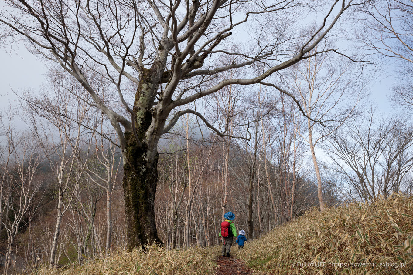ちびっ子兄弟 霞の山へ「半月山」_c0369219_10021417.jpg