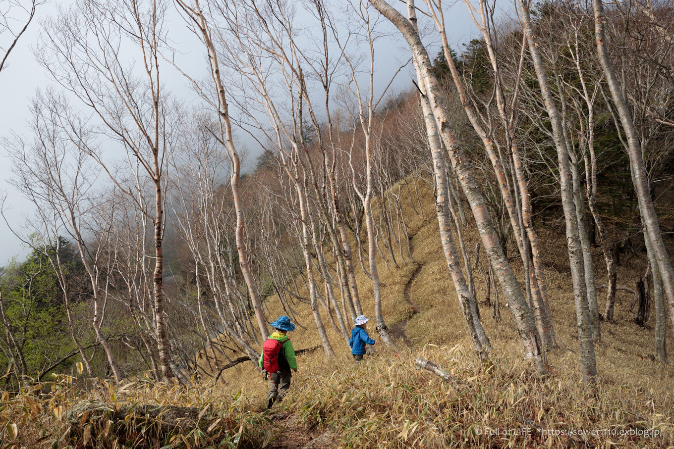 ちびっ子兄弟 霞の山へ「半月山」_c0369219_10042410.jpg