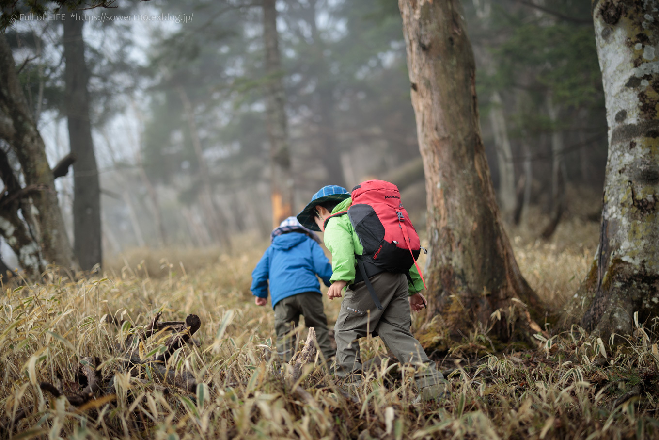 ちびっ子兄弟 霞の山へ「半月山」_c0369219_10052959.jpg