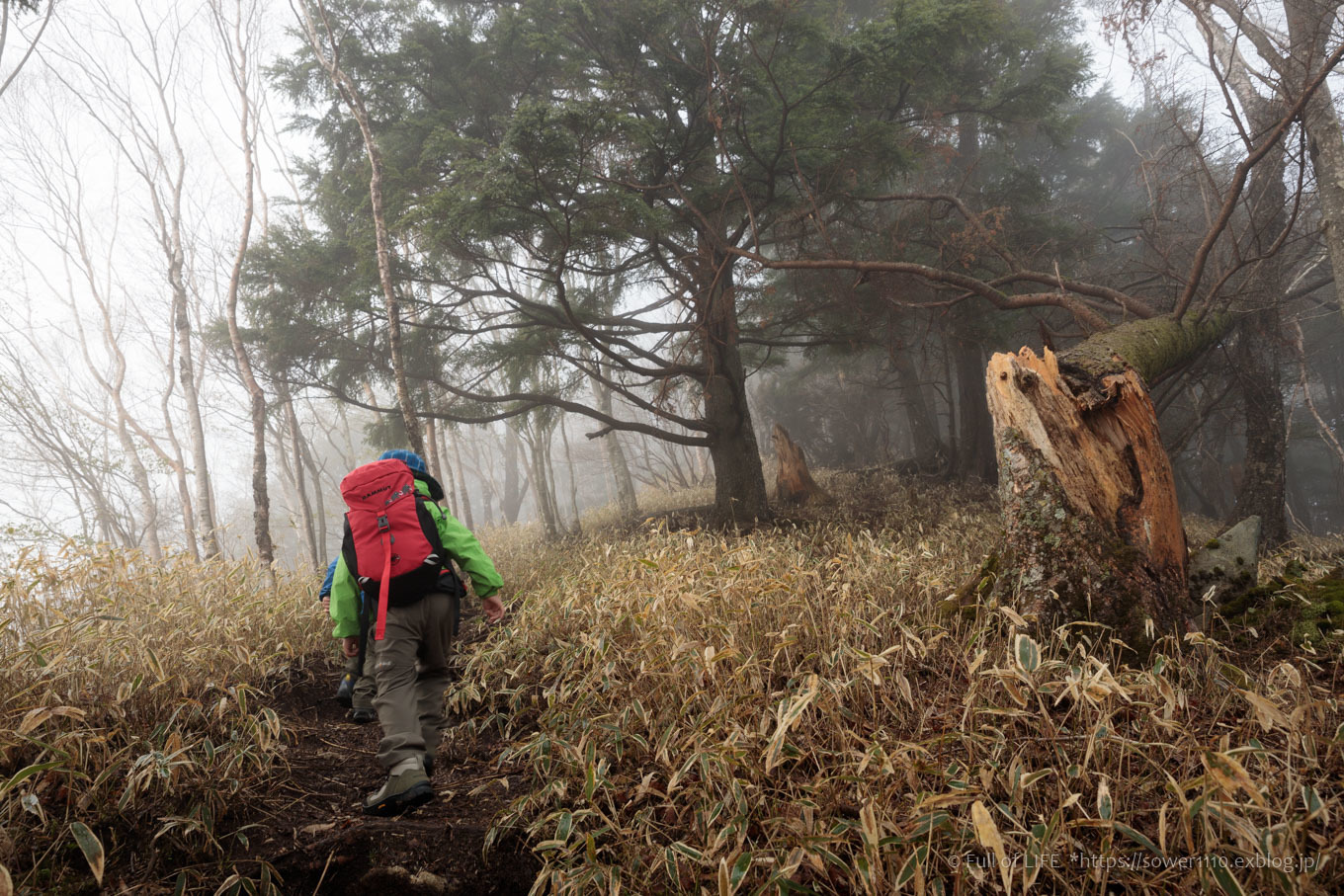 ちびっ子兄弟 霞の山へ「半月山」_c0369219_10074239.jpg