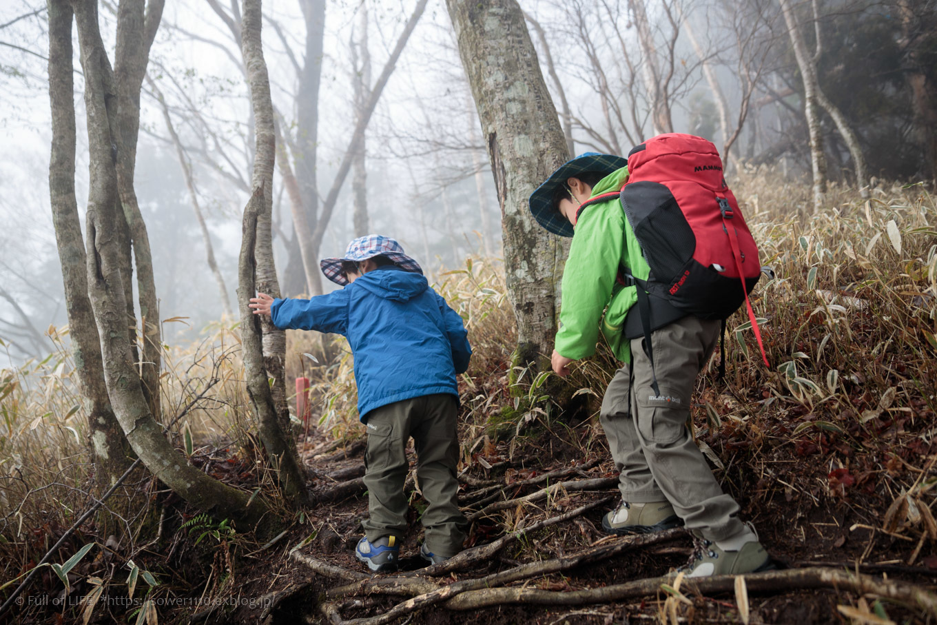 ちびっ子兄弟 霞の山へ「半月山」_c0369219_10122195.jpg