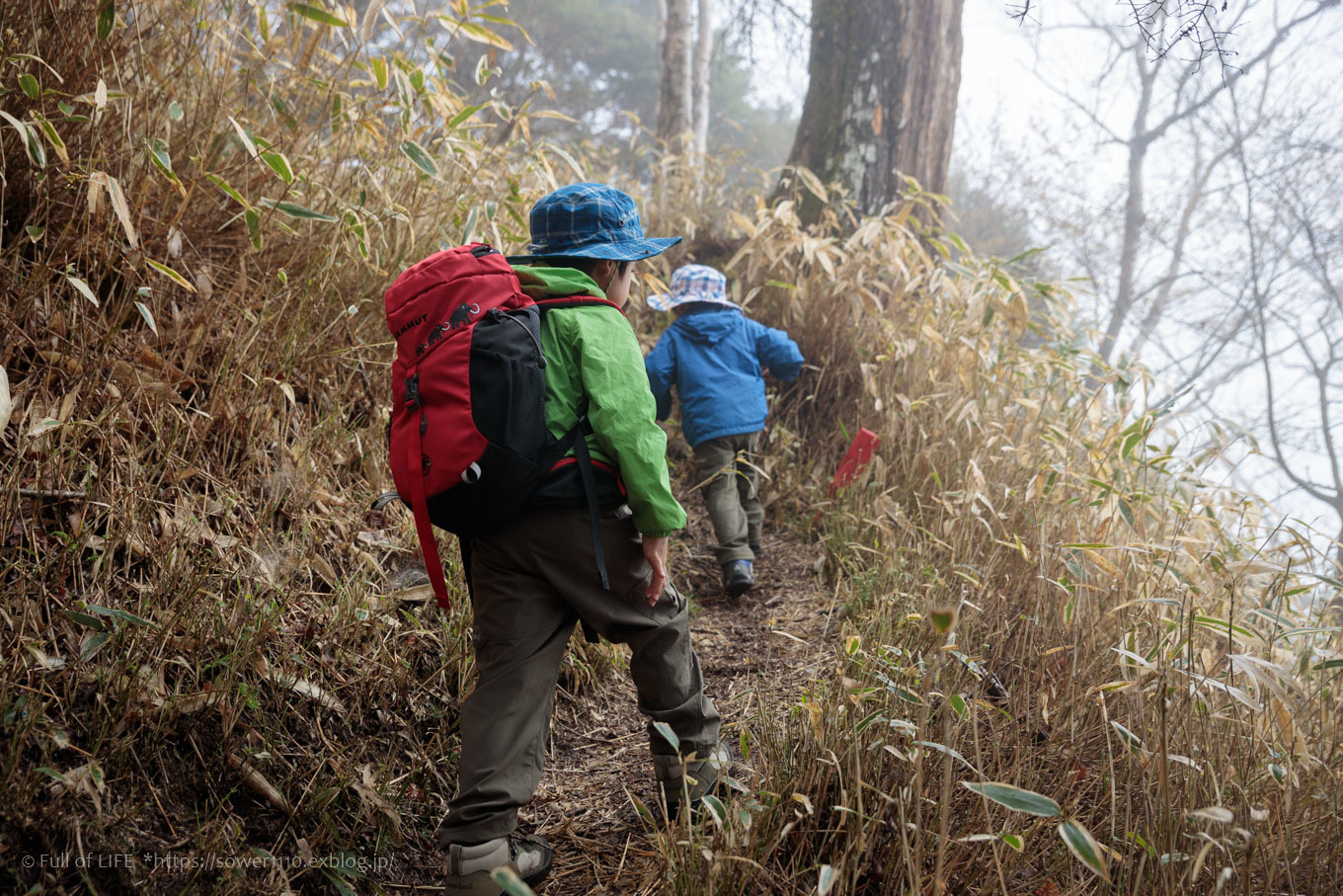 ちびっ子兄弟 霞の山へ「半月山」_c0369219_10193224.jpg