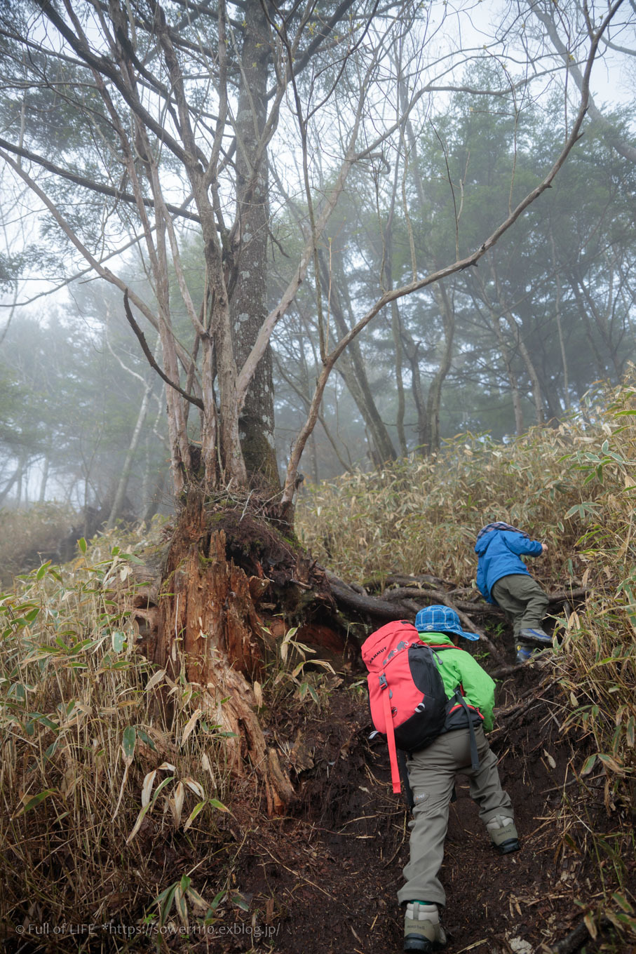 ちびっ子兄弟 霞の山へ「半月山」_c0369219_10201678.jpg