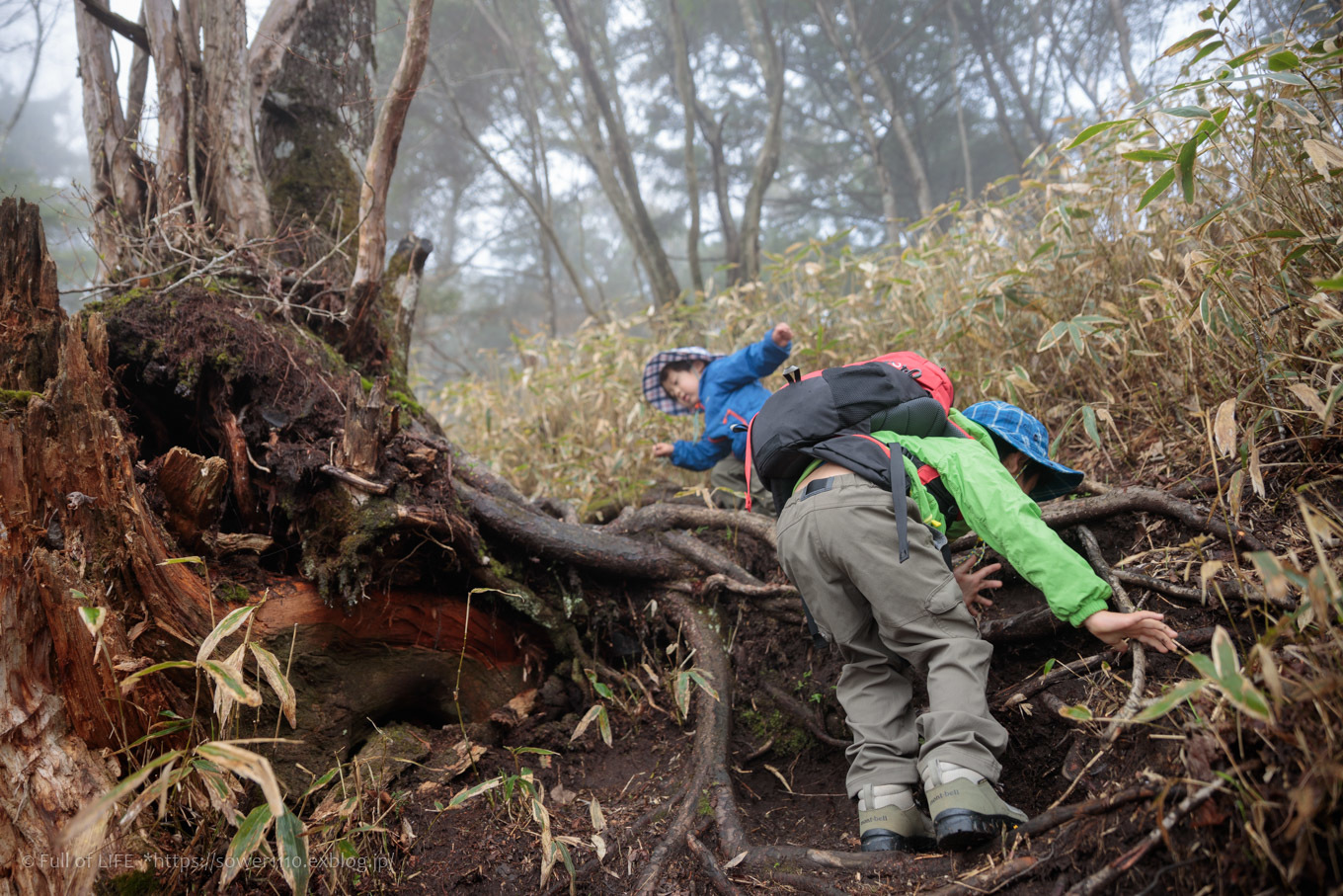 ちびっ子兄弟 霞の山へ「半月山」_c0369219_10254119.jpg