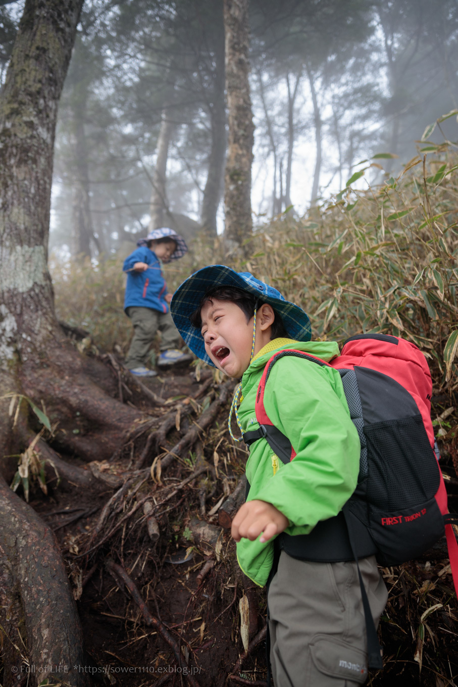 ちびっ子兄弟 霞の山へ「半月山」_c0369219_10290594.jpg