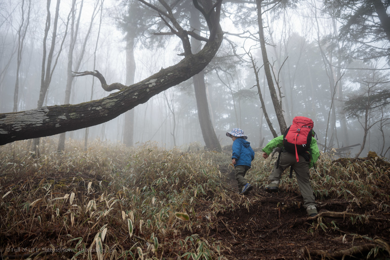 ちびっ子兄弟 霞の山へ「半月山」_c0369219_12254987.jpg