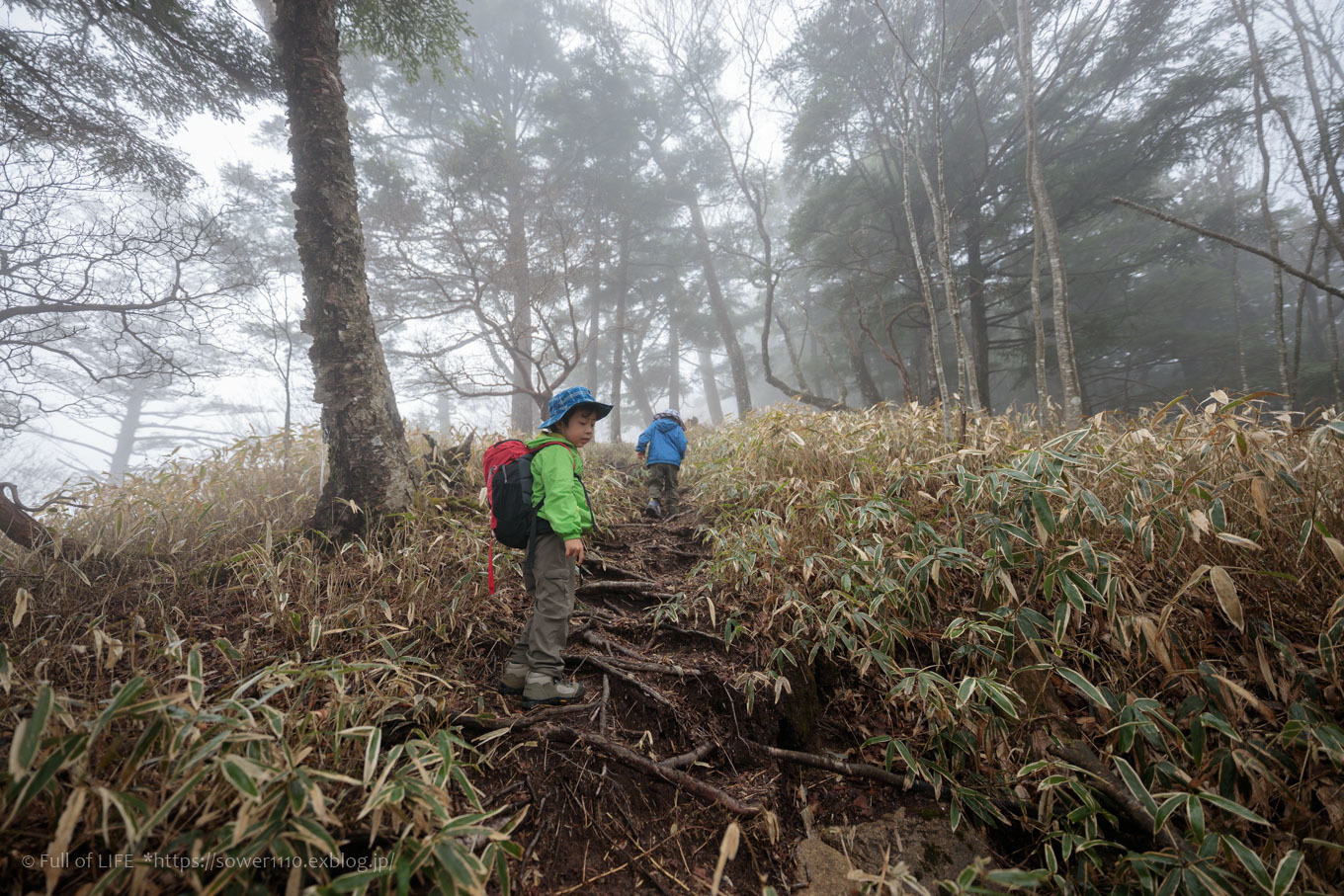 ちびっ子兄弟 霞の山へ「半月山」_c0369219_12262840.jpg