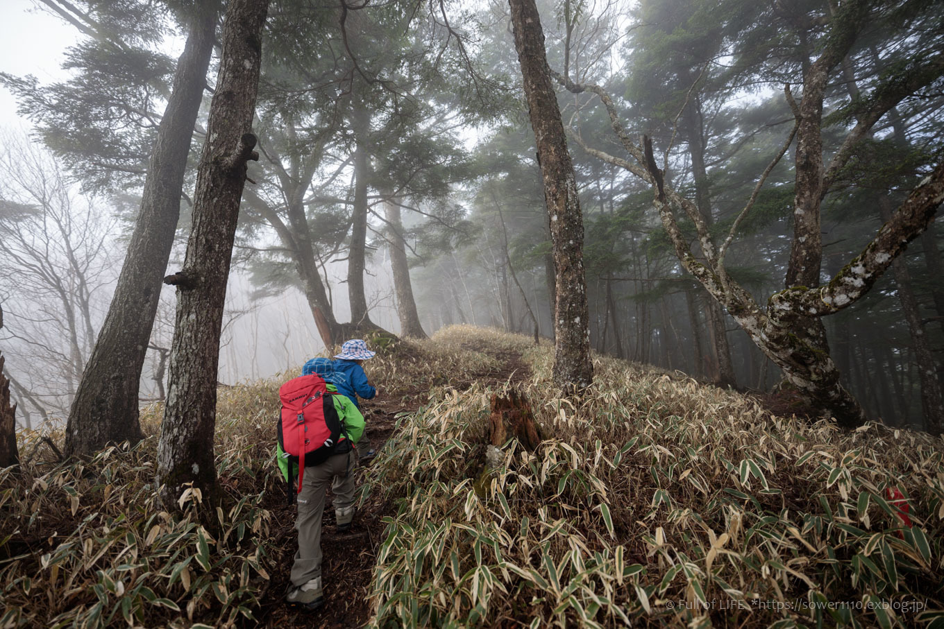 ちびっ子兄弟 霞の山へ「半月山」_c0369219_12333078.jpg