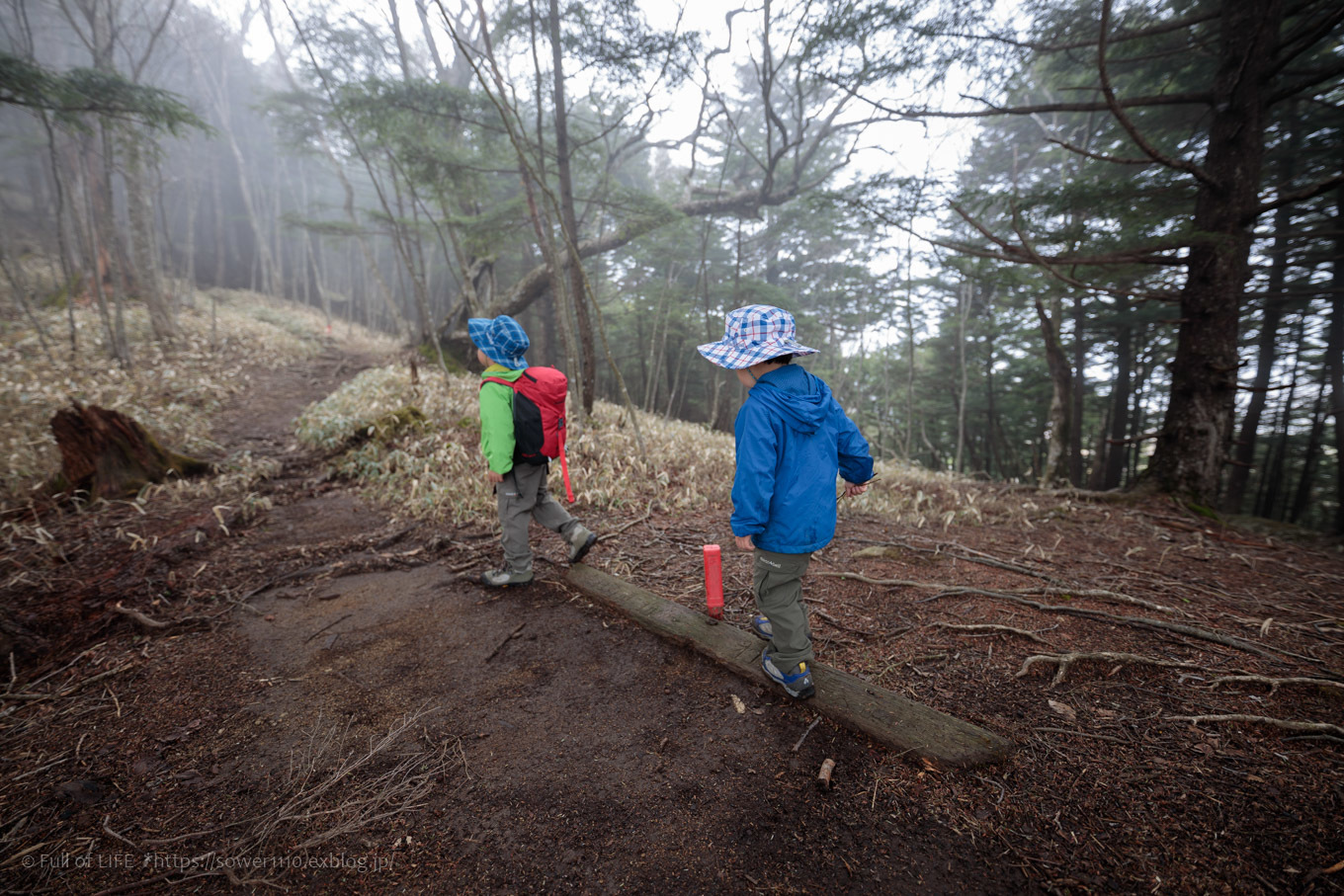 ちびっ子兄弟 霞の山へ「半月山」_c0369219_12363907.jpg