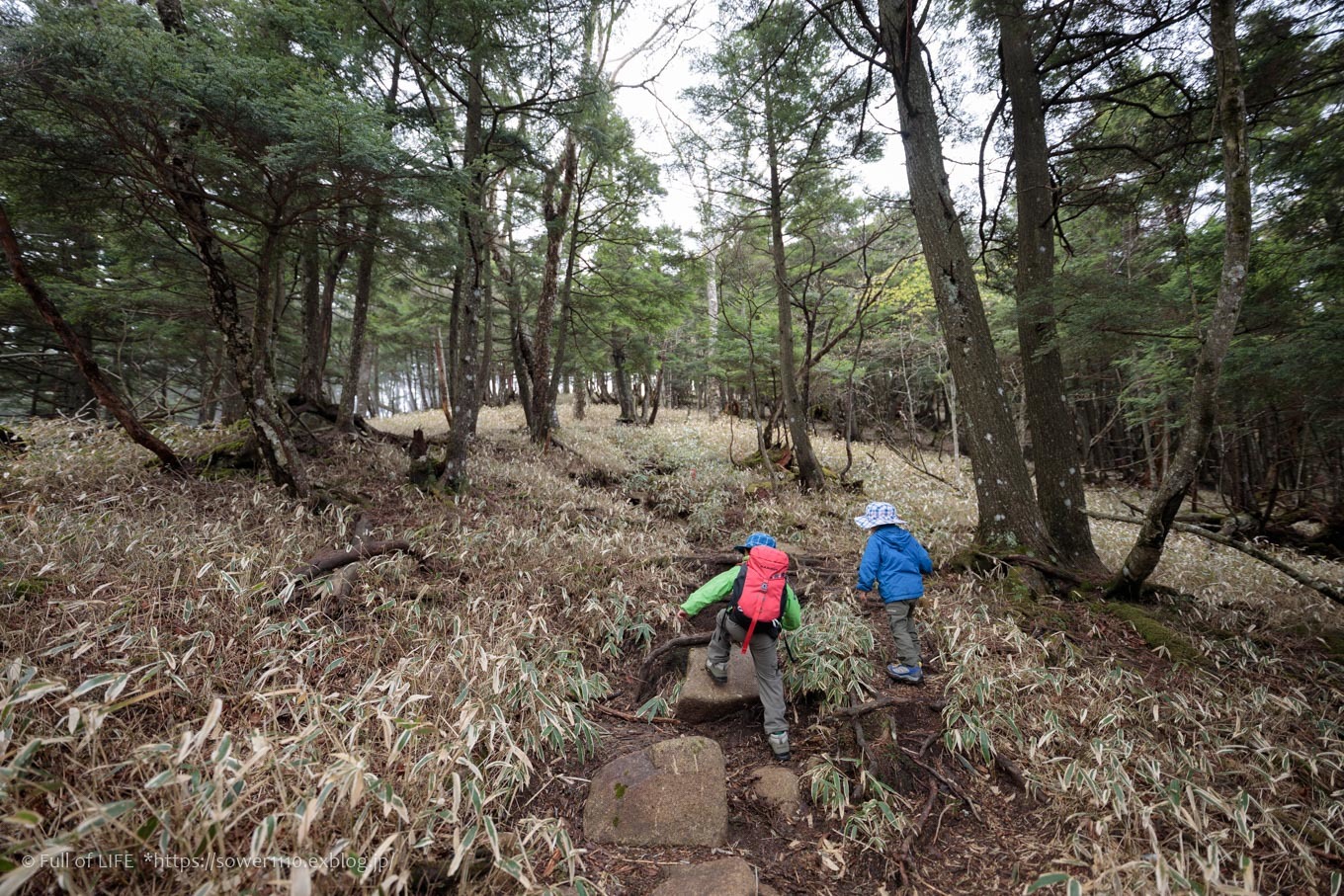 ちびっ子兄弟 霞の山へ「半月山」_c0369219_12403723.jpg