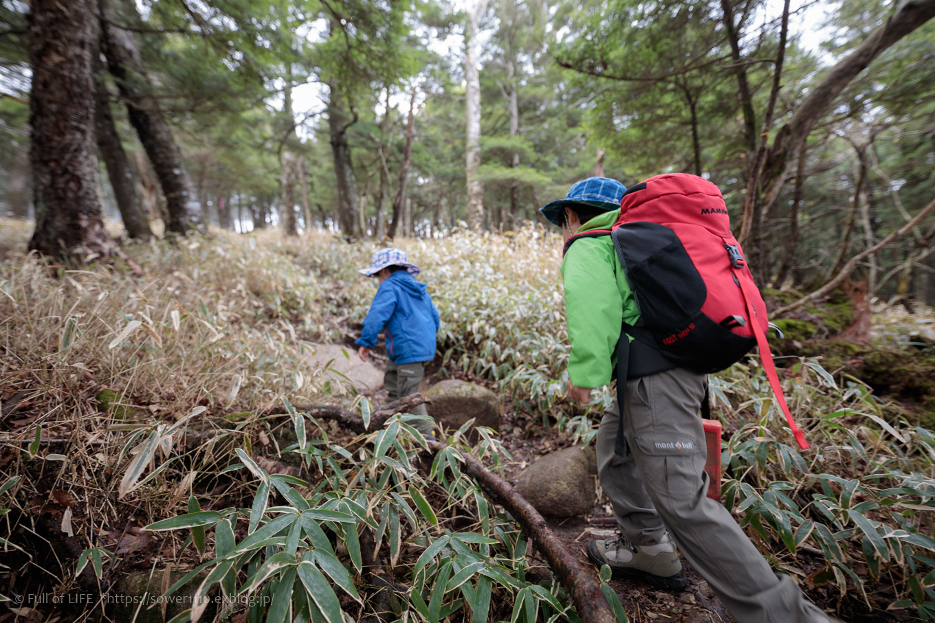 ちびっ子兄弟 霞の山へ「半月山」_c0369219_12433607.jpg