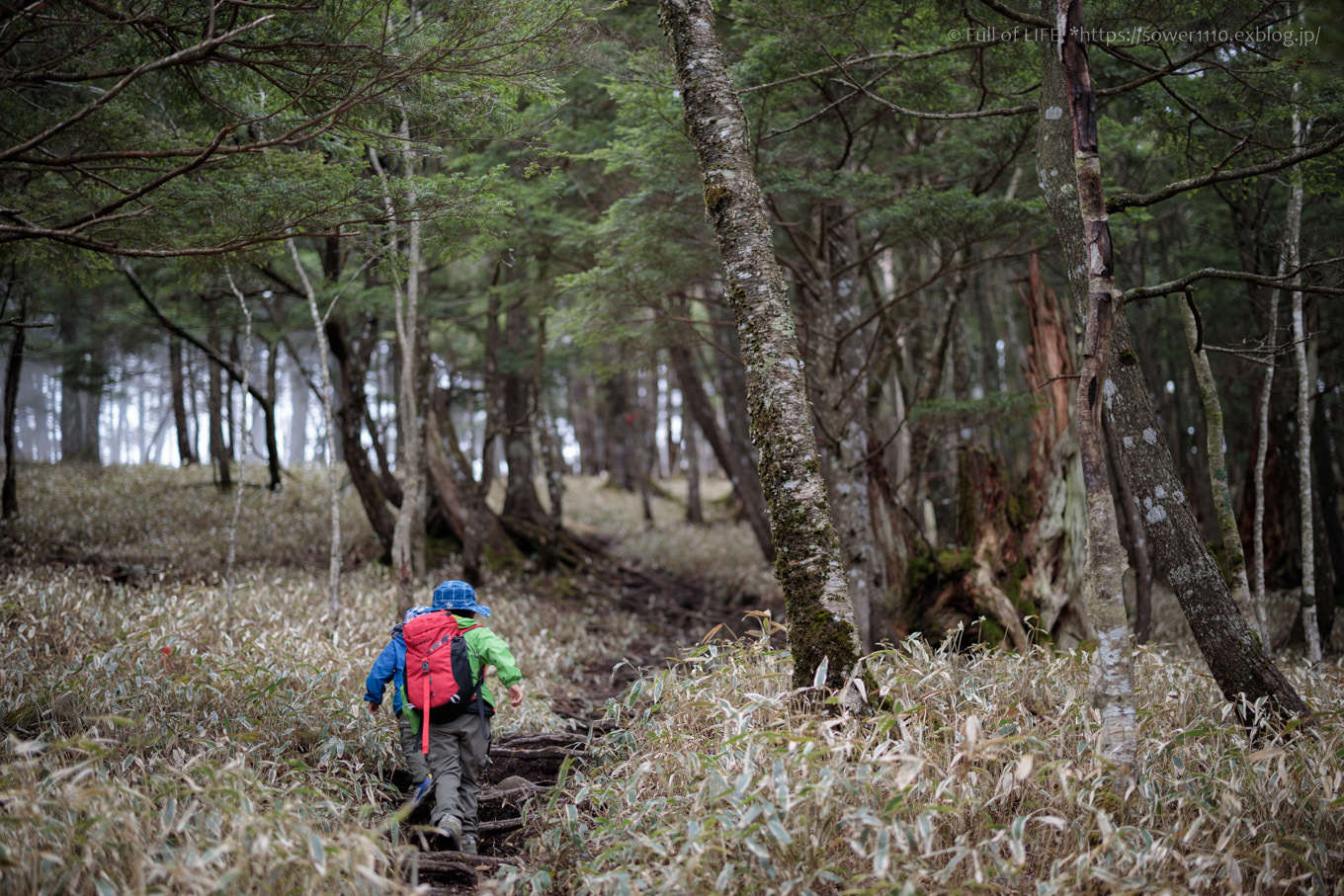ちびっ子兄弟 霞の山へ「半月山」_c0369219_12454914.jpg