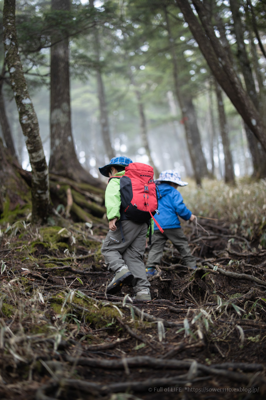 ちびっ子兄弟 霞の山へ「半月山」_c0369219_12473980.jpg