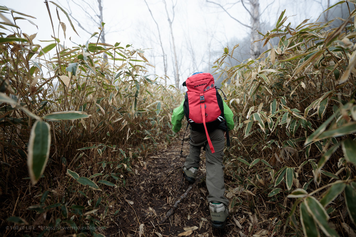 ちびっ子兄弟 霞の山へ「半月山」_c0369219_13005224.jpg