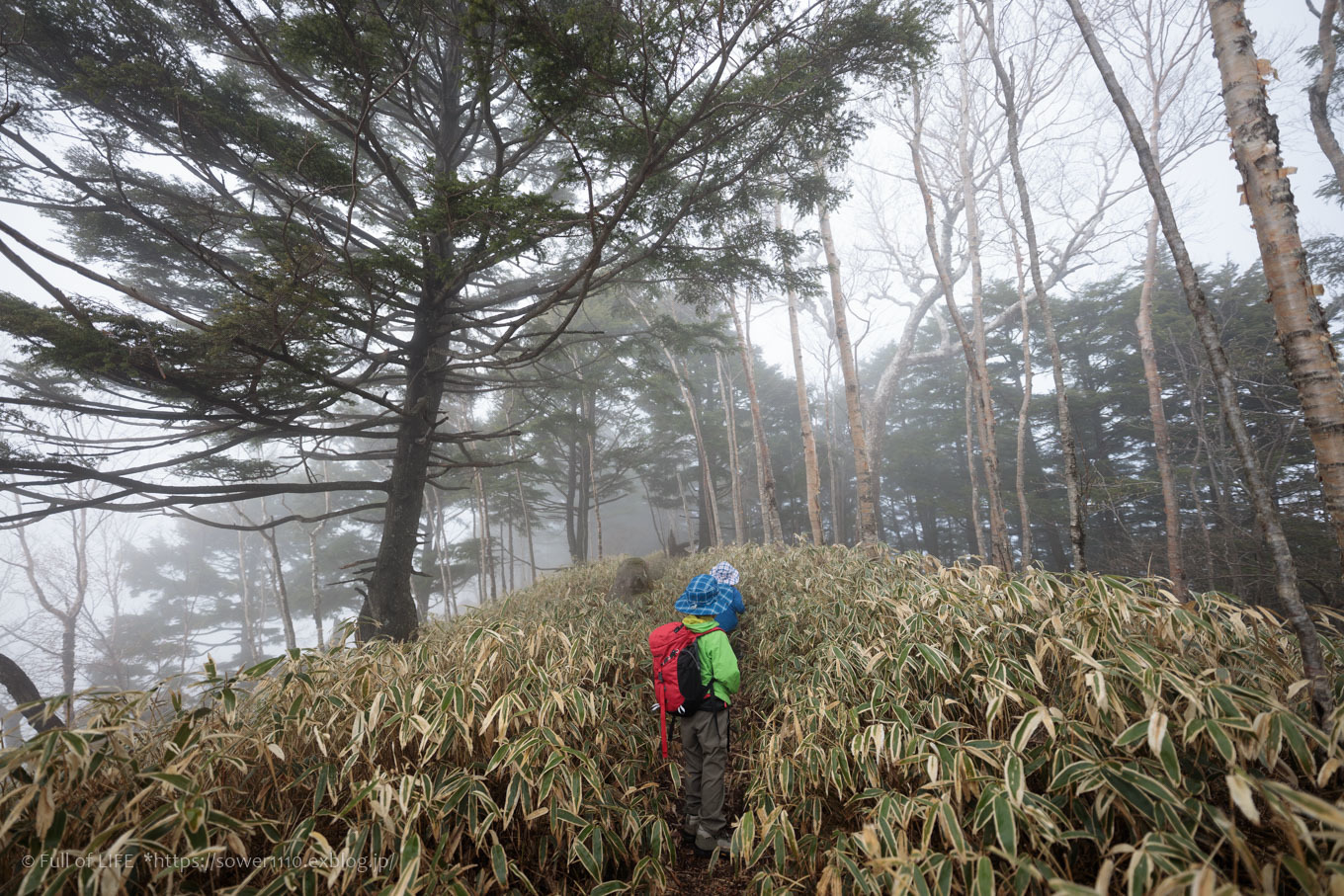 ちびっ子兄弟 霞の山へ「半月山」_c0369219_13021892.jpg