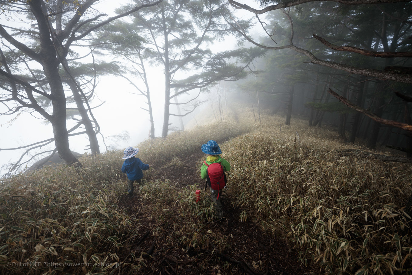 ちびっ子兄弟 霞の山へ「半月山」_c0369219_13043237.jpg