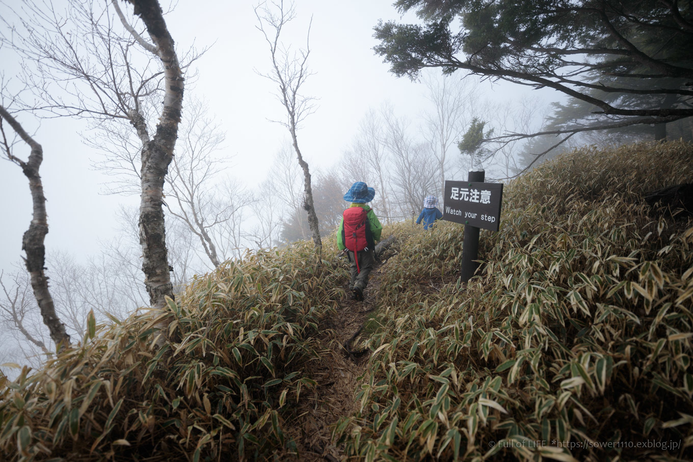 ちびっ子兄弟 霞の山へ「半月山」_c0369219_13261850.jpg