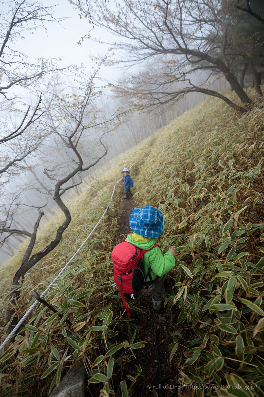 ちびっ子兄弟 霞の山へ「半月山」_c0369219_13280722.jpg