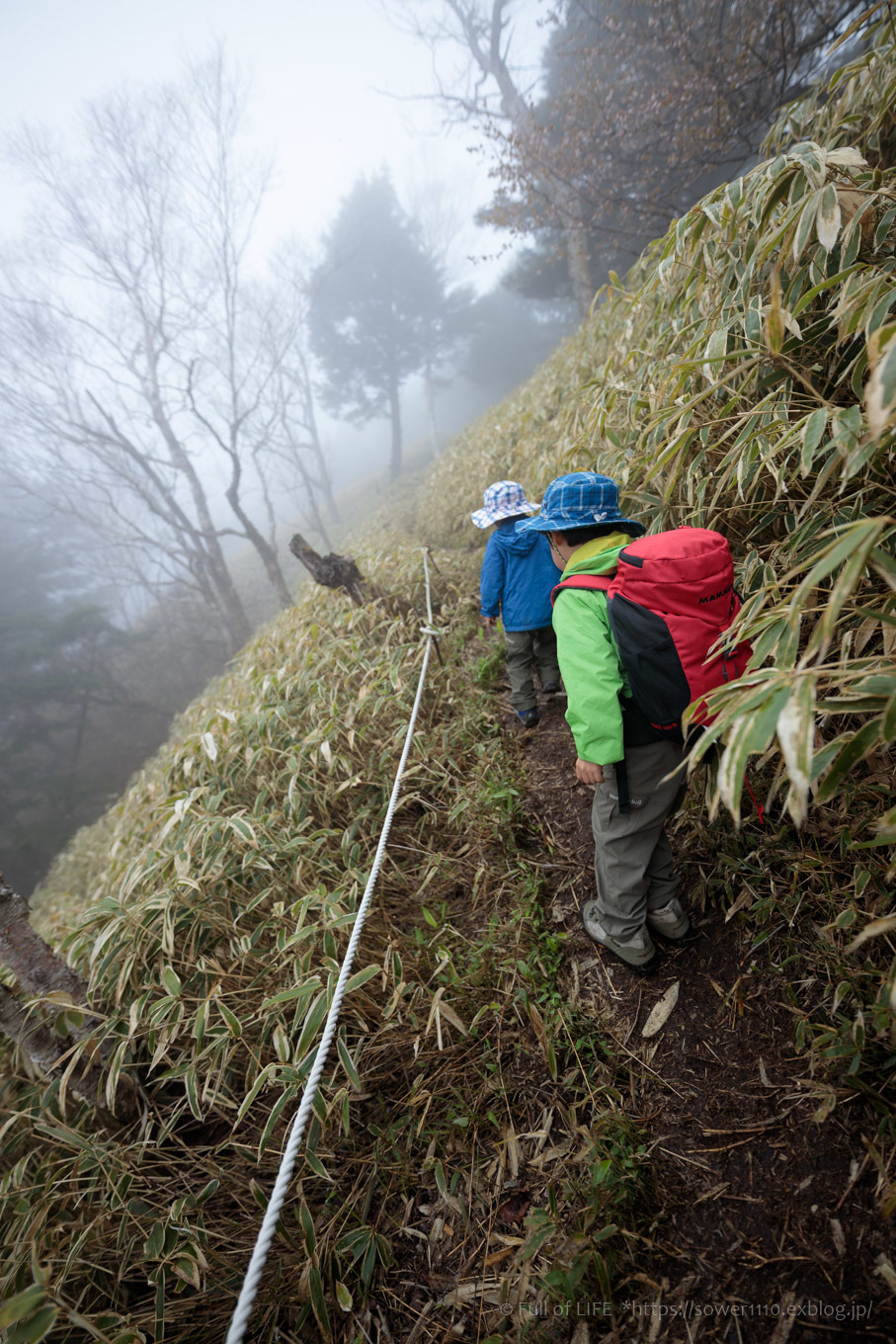 ちびっ子兄弟 霞の山へ「半月山」_c0369219_13302386.jpg