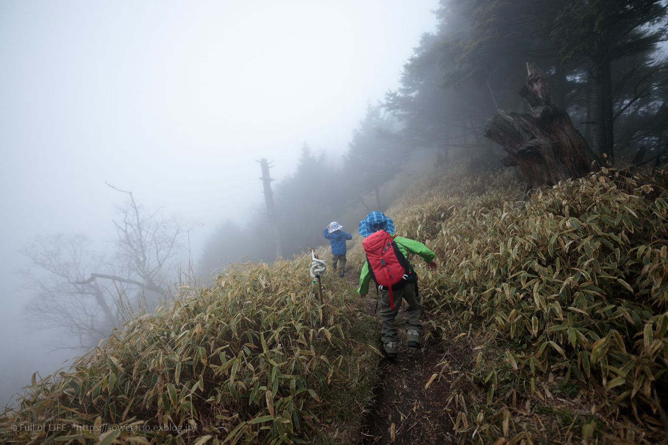 ちびっ子兄弟 霞の山へ「半月山」_c0369219_13335794.jpg