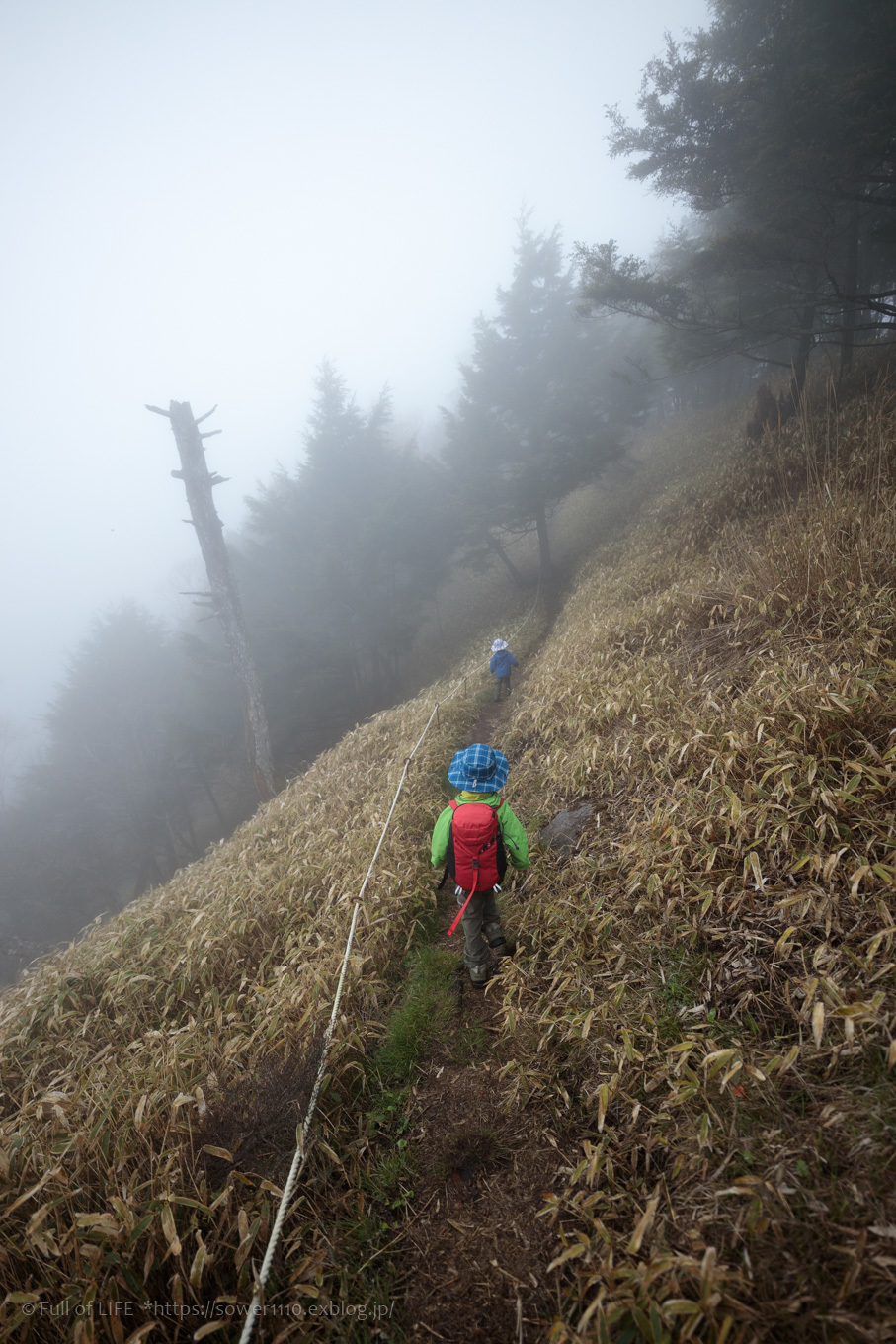 ちびっ子兄弟 霞の山へ「半月山」_c0369219_13361109.jpg