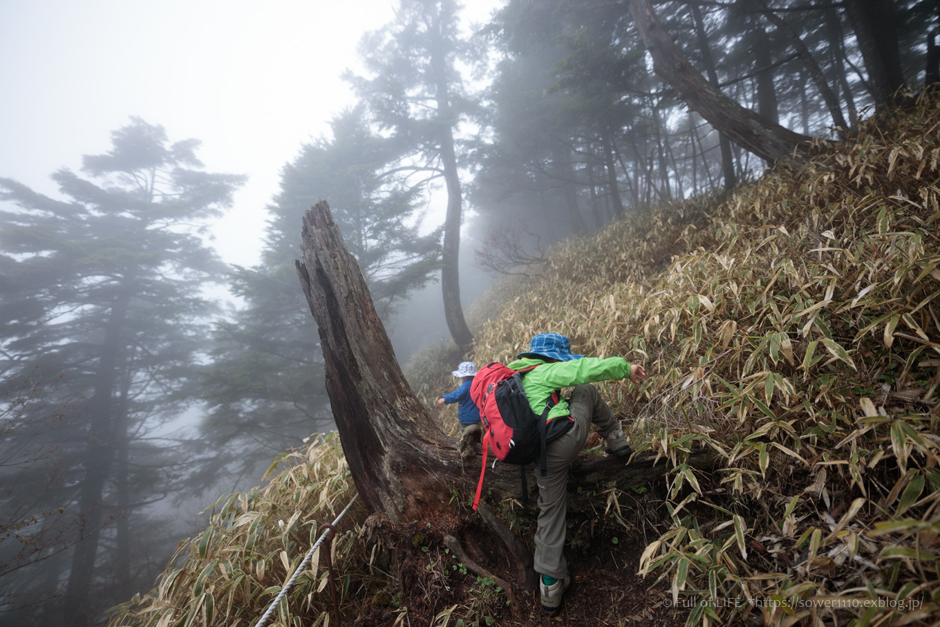 ちびっ子兄弟 霞の山へ「半月山」_c0369219_13373826.jpg
