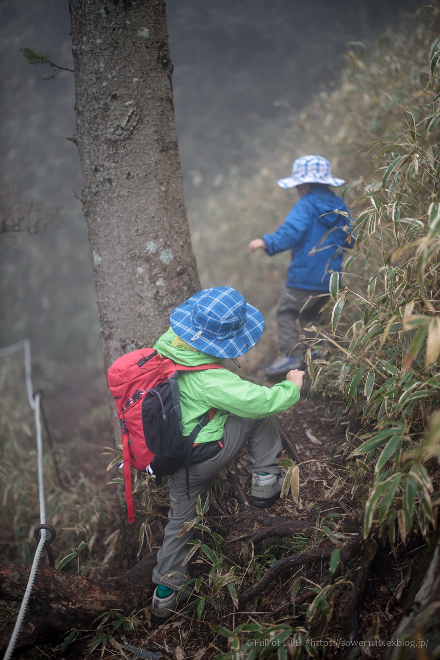 ちびっ子兄弟 霞の山へ「半月山」_c0369219_13391310.jpg