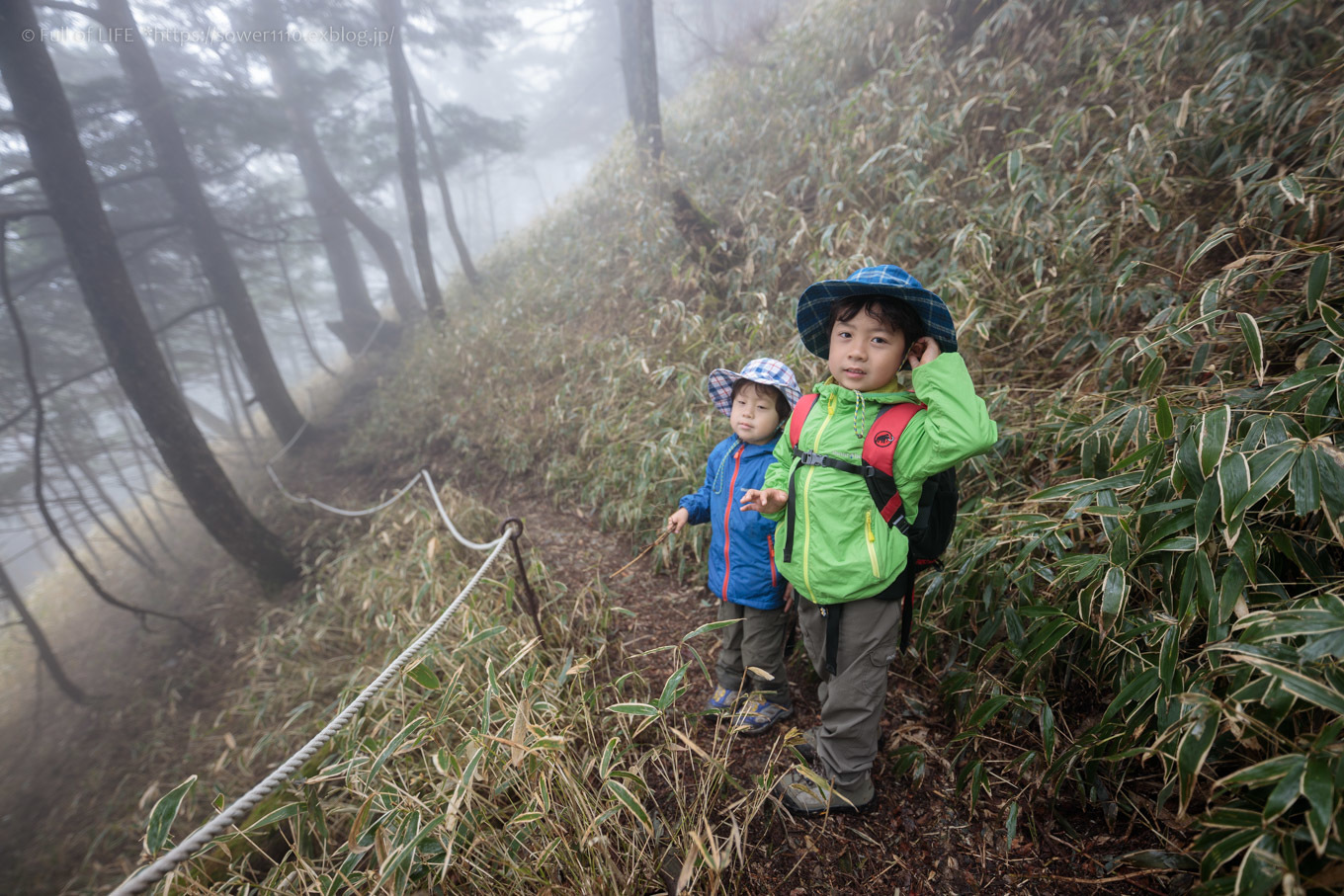 ちびっ子兄弟 霞の山へ「半月山」_c0369219_14143529.jpg